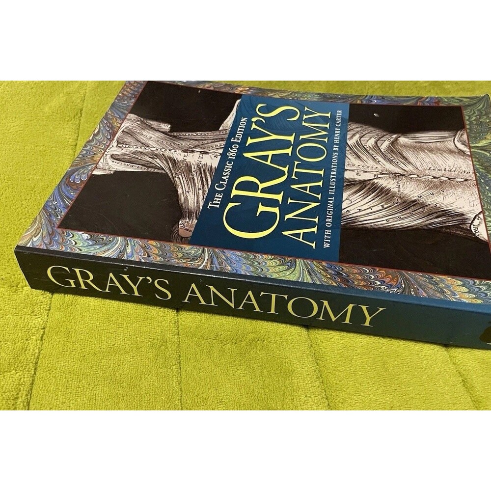 Gray's Anatomy: The Classic 1860 Edition Henry Gray Medical Book Health Textbook